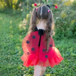 Verkleedset Lieveheersbeestje Glitter, 4-6 jaar