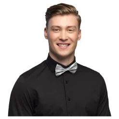 Vlinderstrik Glitter Zilver