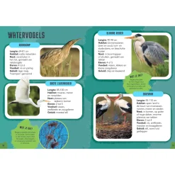 Vogels - Gids en Natuurdagboek voor Kinderen
