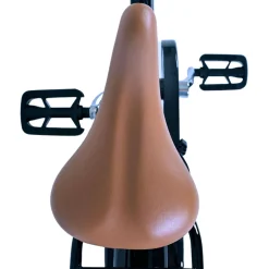 Volare Excellent Fiets - 20 inch - Zwart