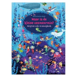 Waar is de Kleine Zeemeermin Zoekboek