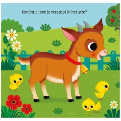 Waar Is het Konijntje? Flapjesboek