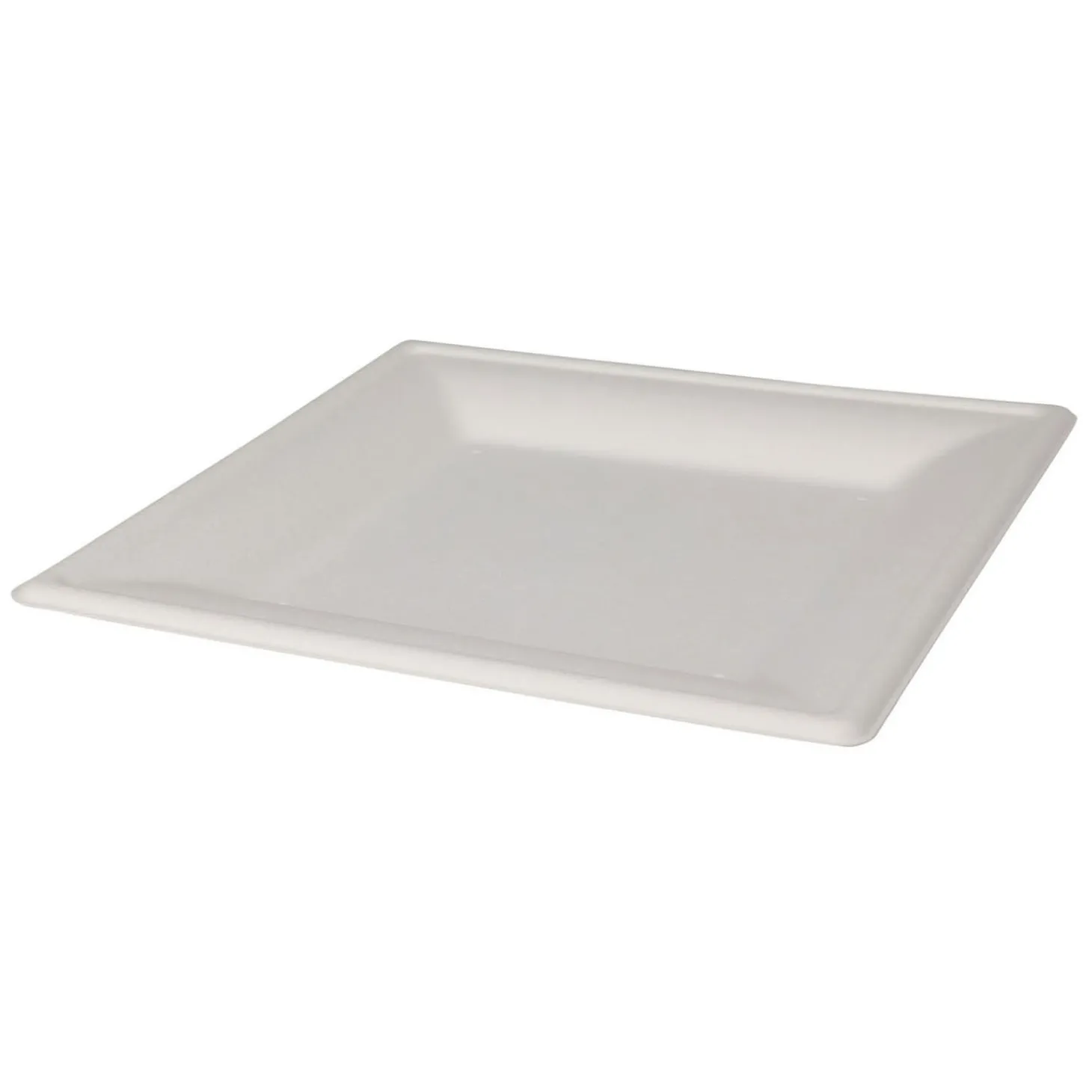 Wegwerpbordjes Vierkant 20cm, 8st.