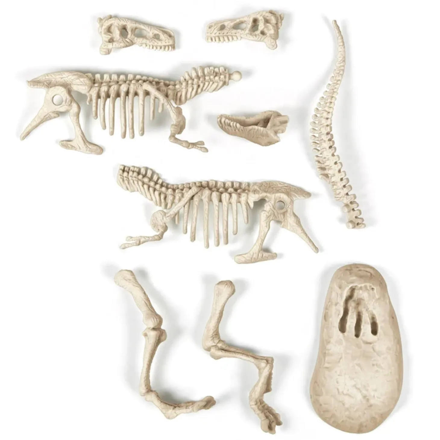 Wetenschap & Spel Archeospel - T-Rex Fluo