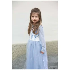 Winterprinsessenjurk - 5-6 Jaar